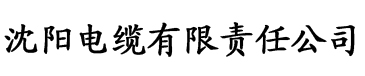 东京恋爱养成攻略电缆厂logo